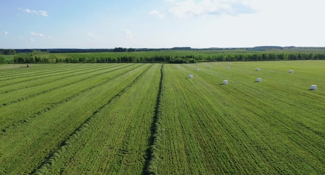 Mirova Launches 350 Million Sustainable Land Fund ESG Investing